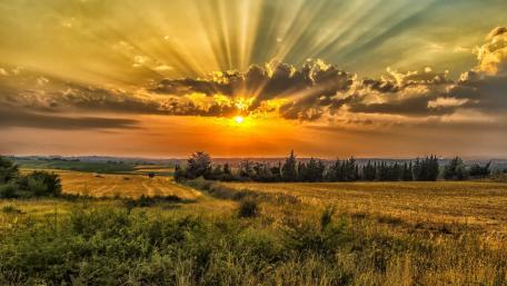 Golden Sunset Over Tranquil Fields wallpaper