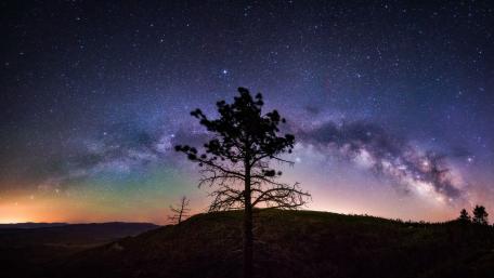 Majestic Milky Way Over Silhouette Tree Nightscape wallpaper