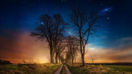 Moonlit Pathway Through Trees Under a Starry Sky wallpaper