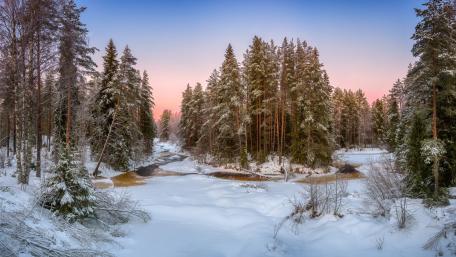Serene Winter Landscape of a Frosty Forest Creek wallpaper