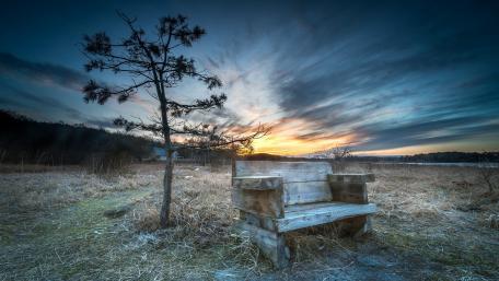 Serene Bench Amidst Nature's Beauty wallpaper