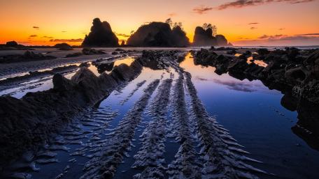 Serene Sunset Over the Shoreline wallpaper