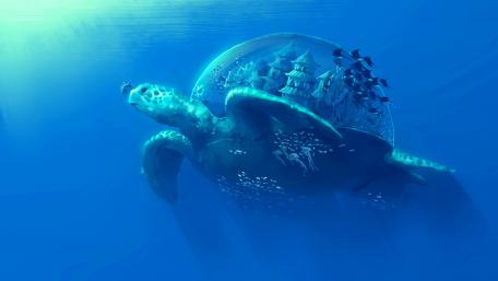 Turtle world wallpaper
