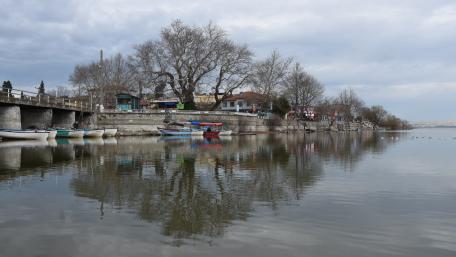 Serene Shoreline Reflections in a Cityscape wallpaper