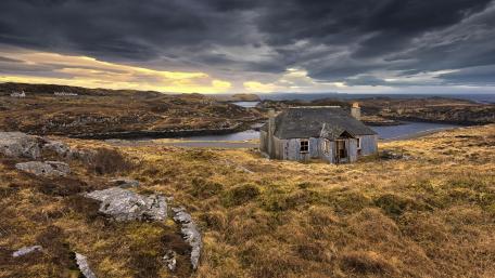 Silent Abandonment in Nature's Embrace wallpaper