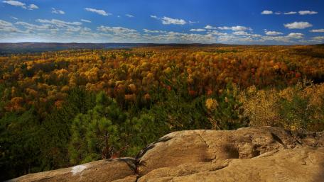 Vibrant Autumn Serenity Overlooking a Forest Awash in Colorful Foliage wallpaper