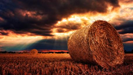 Golden Hay Bales Under Dramatic Cloudy Sky wallpaper