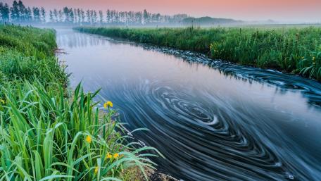 Serene Misty River Flowing Through Lush Greenery wallpaper