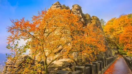 The Bastion Bridge at fall wallpaper