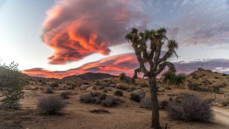 Majestic Dusk Over Desert Landscape wallpaper
