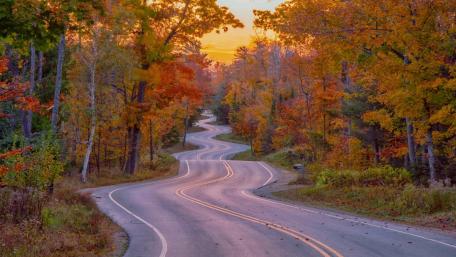 Curvy Autumn Road Through Vibrant Forest wallpaper