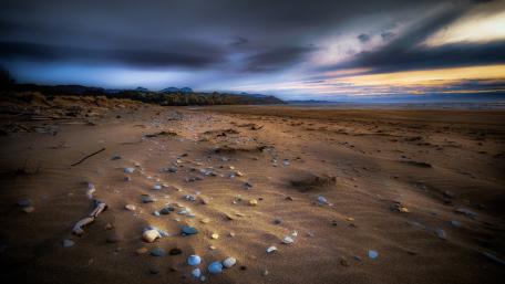 Dusk Serenity on a Wind-Swept Shore wallpaper