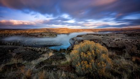 Serene River Mist at Dawn wallpaper