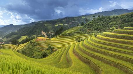Lush Terraced Fields Under Dramatic Sky wallpaper