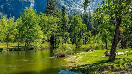 Tranquil Spring River Valley Scene wallpaper