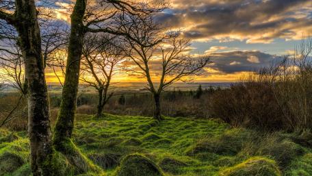 Serene Sunset Over Rolling Hills and Trees wallpaper