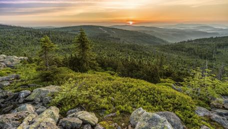 Majestic Sunrise Over Forest Landscape wallpaper