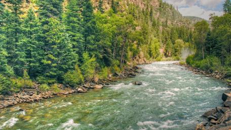 Serene River Flowing Through Lush Forests wallpaper