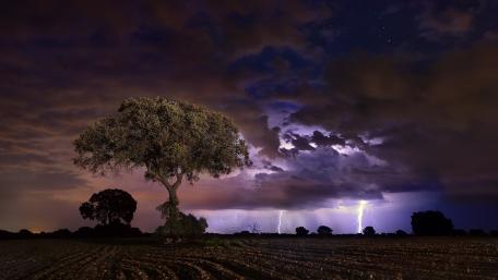 Majestic Storm Beneath Lightning Skies wallpaper
