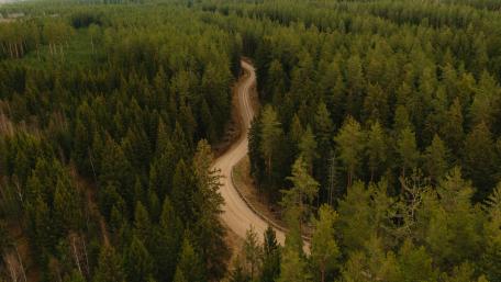 Serene Forest Road Adventure wallpaper