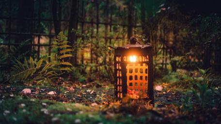 Garden Lanterns Illuminating Serenity wallpaper