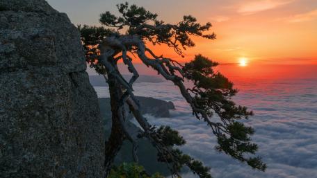 Majestic Sunset Over Sea of Clouds wallpaper