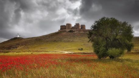 The Consuegra Castle and the Molino Cardeno windmill at summer wallpaper