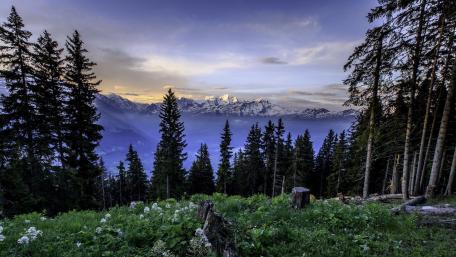 Serene Mountain View Amidst Lush Forests wallpaper