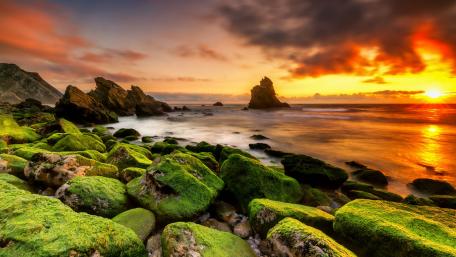 Praia da Adraga mossy stones wallpaper