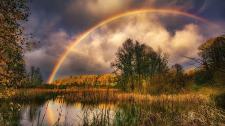 Vibrant Rainbow Over Tranquil Swamp Scene wallpaper