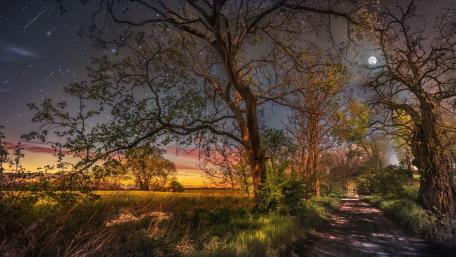 Moonlit Serenity on a Country Road wallpaper