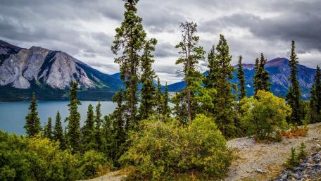 Tranquil Mountain Lake Scene Amidst Lush Forests wallpaper