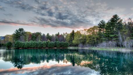 Serene Lake Reflections Amidst Lush Trees wallpaper