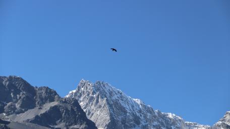 Jade Dragon Snow Mountain wallpaper