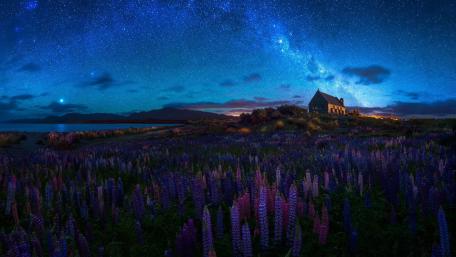 Starry Night Over Tranquil Lupines wallpaper