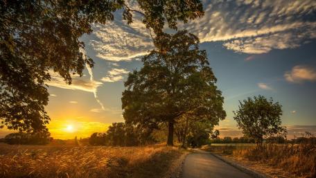 Serene Sunset in a Rural Landscape wallpaper