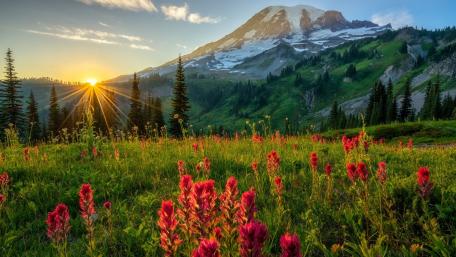 Serene Meadow Under Majestic Mountains wallpaper
