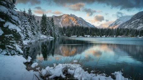 Tranquil Winter Serenity by the Lake wallpaper