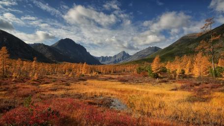 Golden Autumn Bliss in Serene Valley Landscape wallpaper