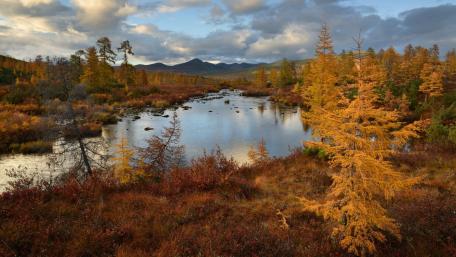 Golden Autumn Landscape by the Tranquil River wallpaper