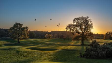 Serene Sunset Over Green Fields and Trees wallpaper