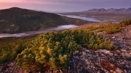 Breathtaking River Landscape at Dawn wallpaper