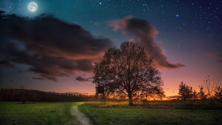 Serene Night Under the Full Moon wallpaper