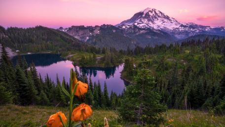 Majestic Mountain Serenity Amidst Nature's Beauty wallpaper