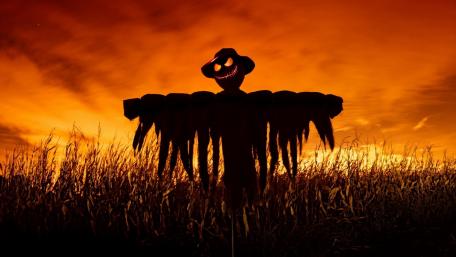 Spooky Scarecrow in a Vibrant Twilight Sky wallpaper