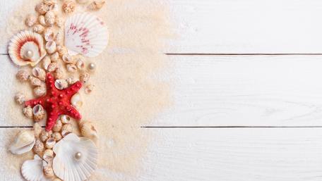 Coastal Treasures on Rustic Wood Planks wallpaper
