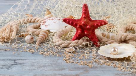 Coastal Treasures Displayed in Vibrant Detail wallpaper