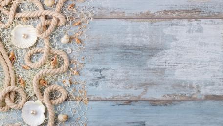 Serene Coastal Shells and Twine Arrangement wallpaper