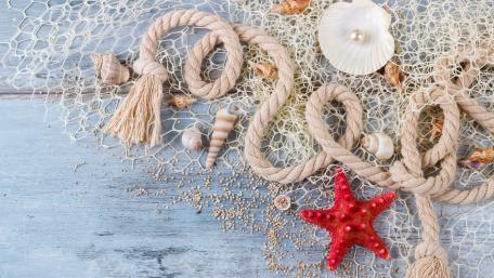 Seaside Treasures in Vibrant Detail wallpaper