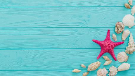Tropical Beach Vibes with Starfish and Shells wallpaper